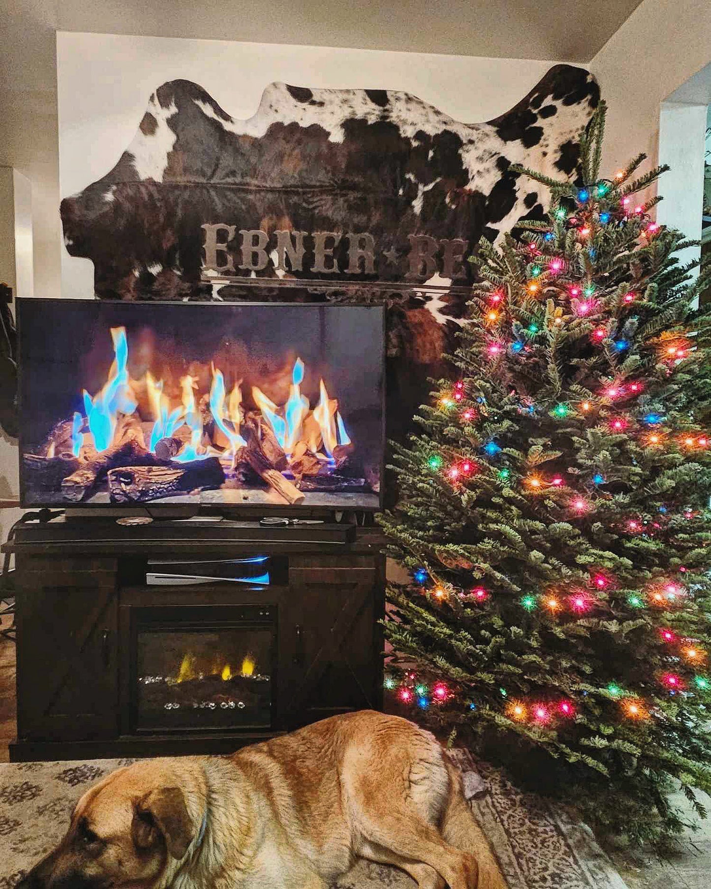 CUSTOM COWHIDE BACKDROPS